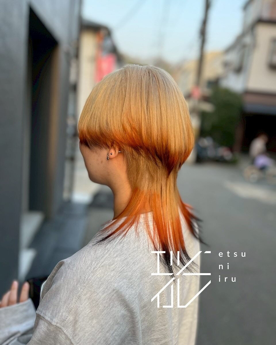 🪼🦊